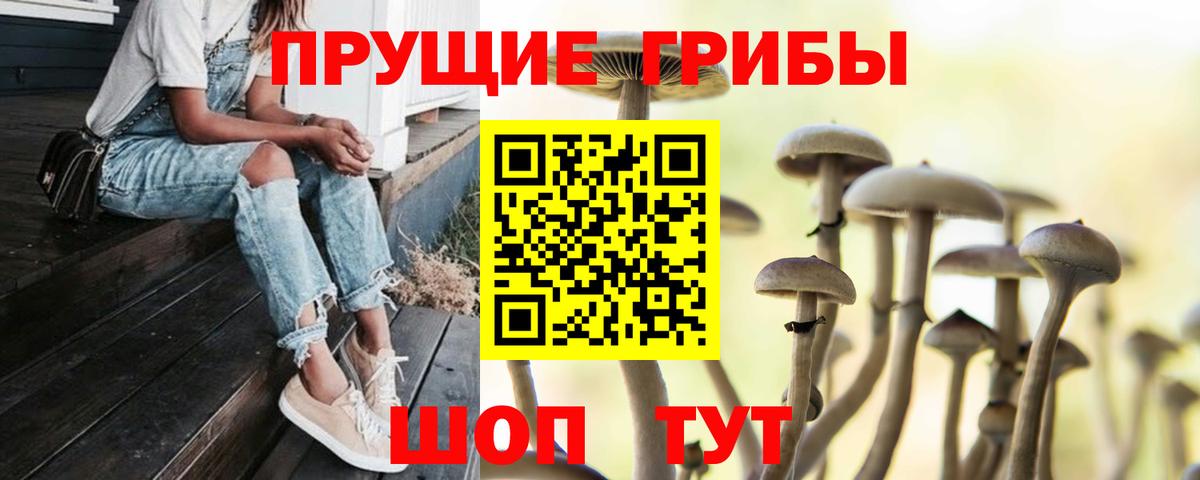 Грозный  Псилоцибиновые грибы Magic Shrooms  Вход с VPN 